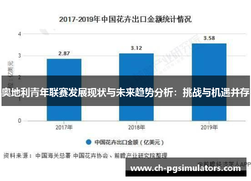 奥地利青年联赛发展现状与未来趋势分析：挑战与机遇并存