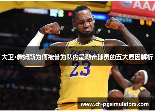 大卫·詹姆斯为何被誉为队内最勤奋球员的五大原因解析