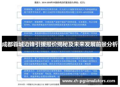 成都蓉城边锋引援报价揭秘及未来发展前景分析
