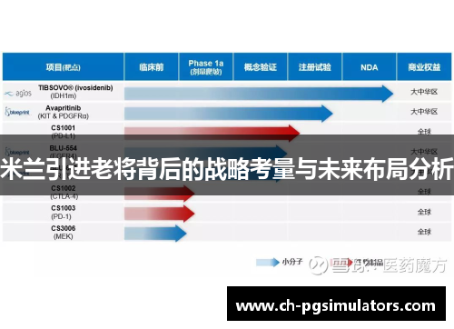 米兰引进老将背后的战略考量与未来布局分析