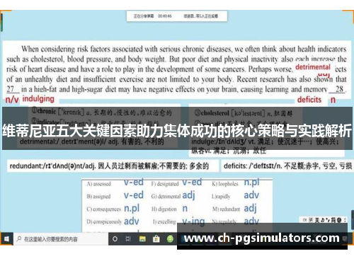 维蒂尼亚五大关键因素助力集体成功的核心策略与实践解析