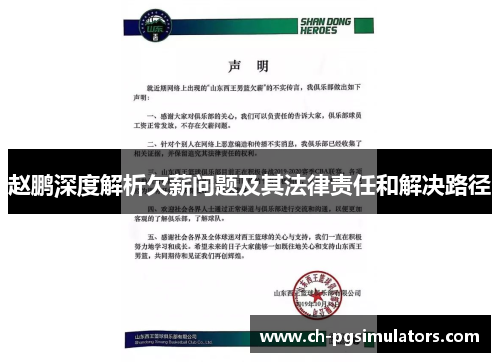 赵鹏深度解析欠薪问题及其法律责任和解决路径