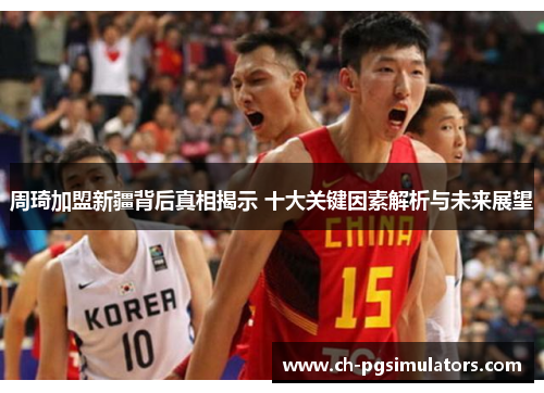 周琦加盟新疆背后真相揭示 十大关键因素解析与未来展望 周琦加盟新疆背后真相揭示 十大关键因素解析与未来展望