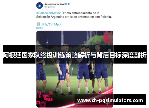 阿根廷国家队终极训练策略解析与背后目标深度剖析