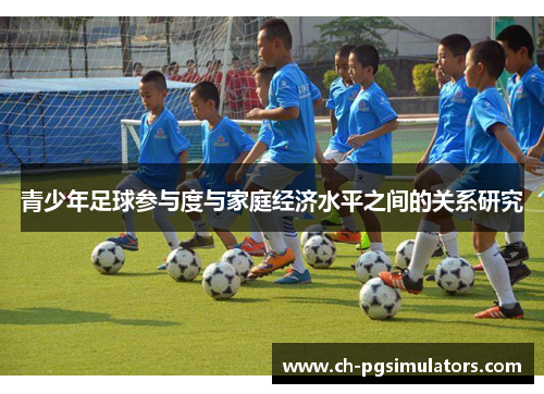 青少年足球参与度与家庭经济水平之间的关系研究 青少年足球参与度与家庭经济水平之间的关系研究