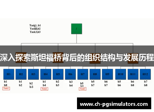 深入探索斯坦福桥背后的组织结构与发展历程